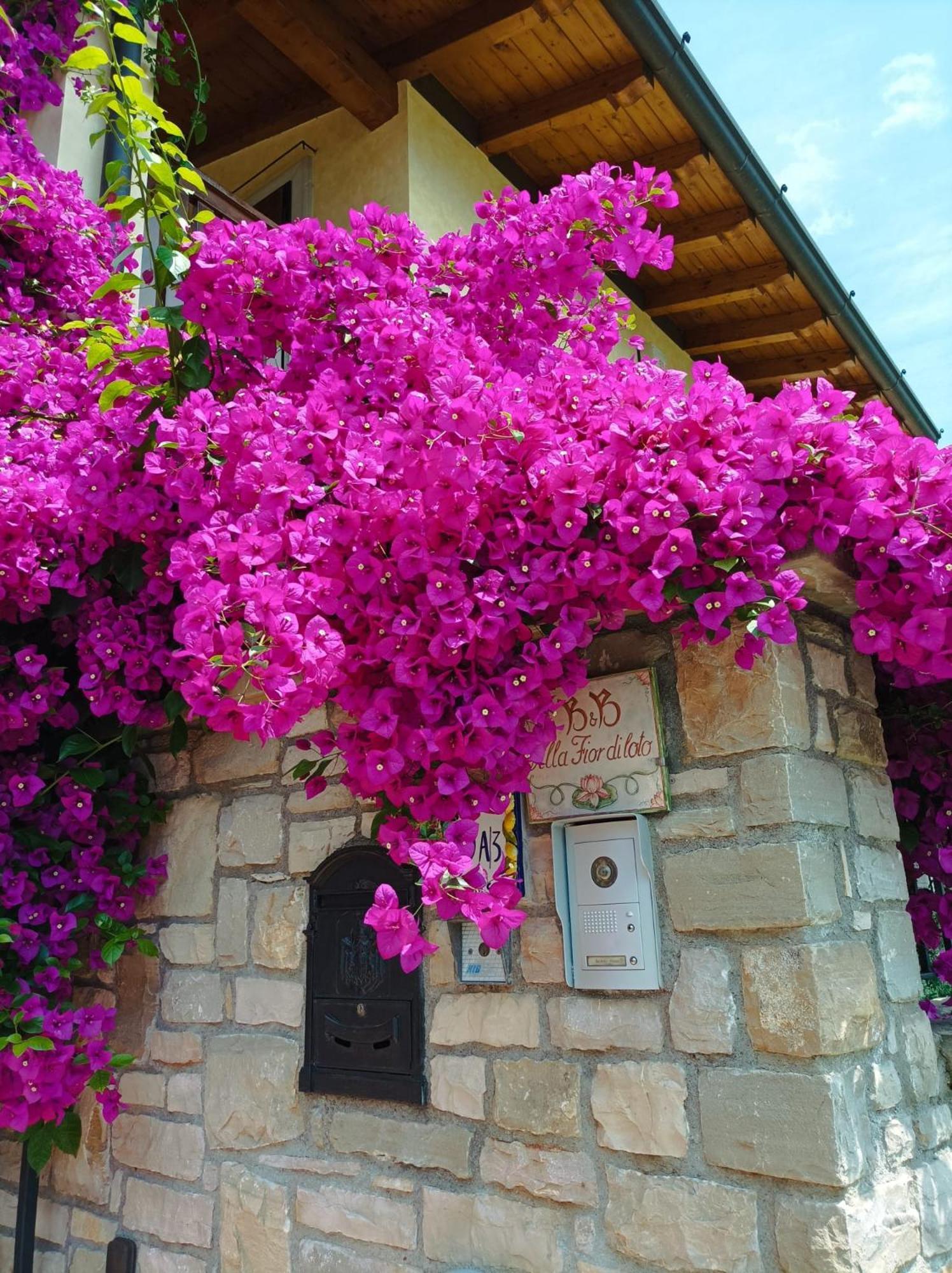 Villa Fior Di Loto Limone sul Garda Exterior photo